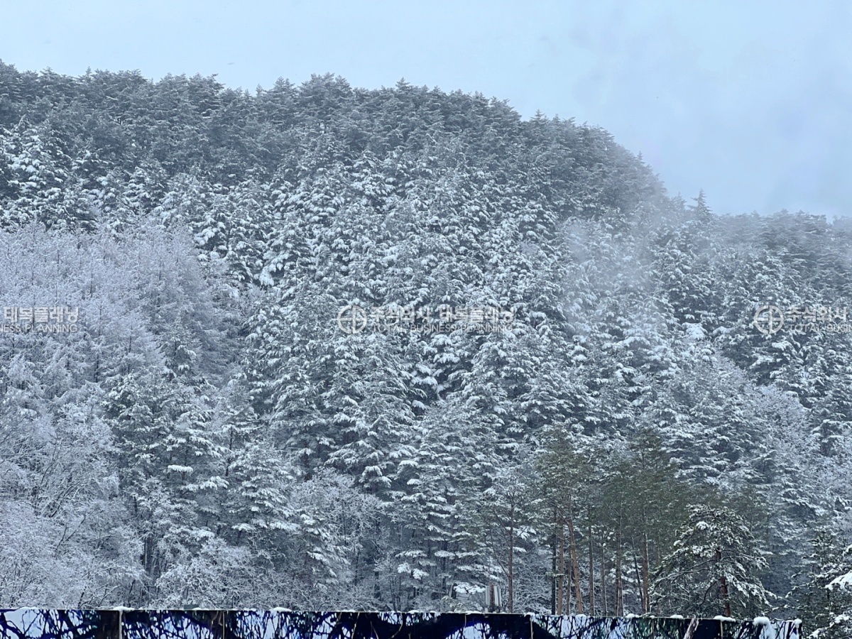 이미지명