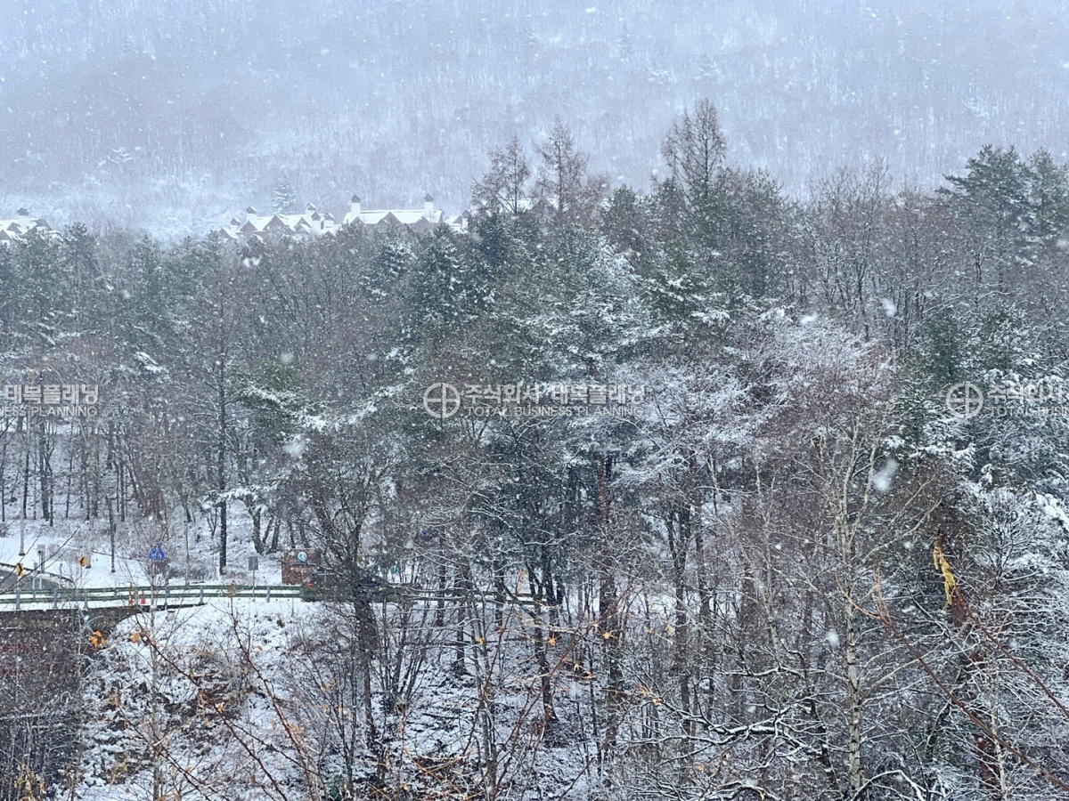 이미지명