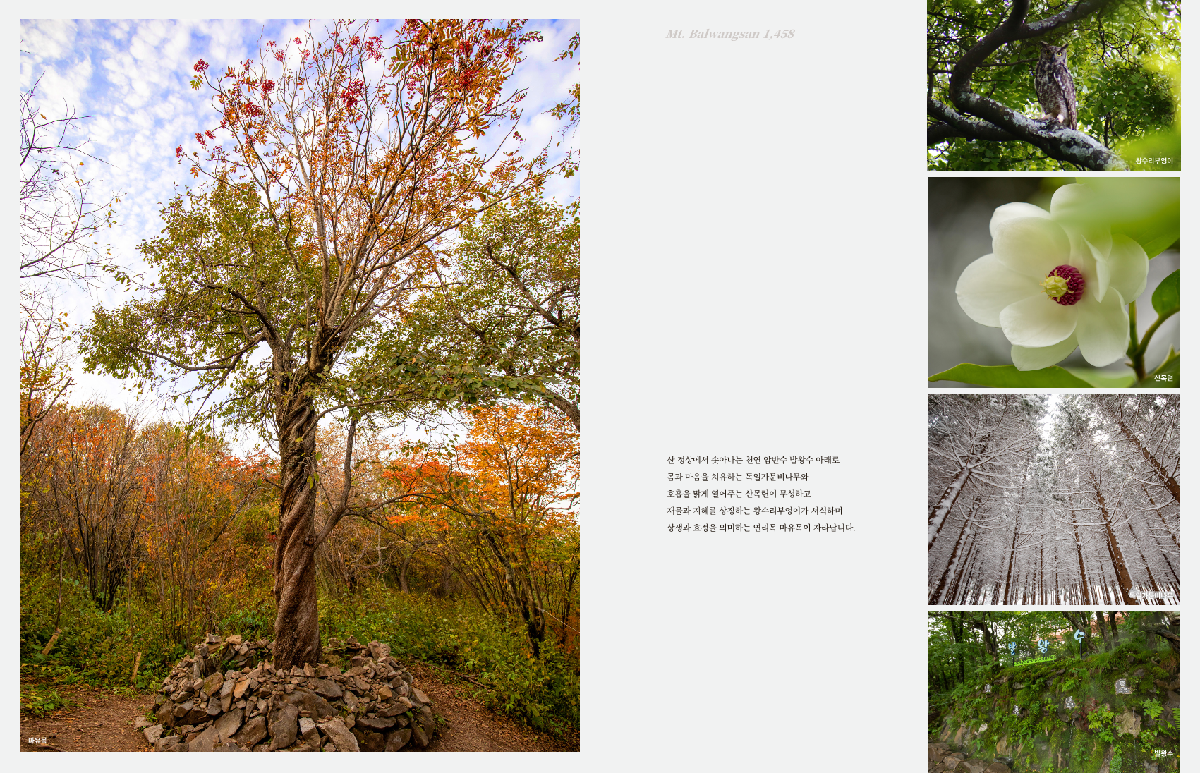 이미지명